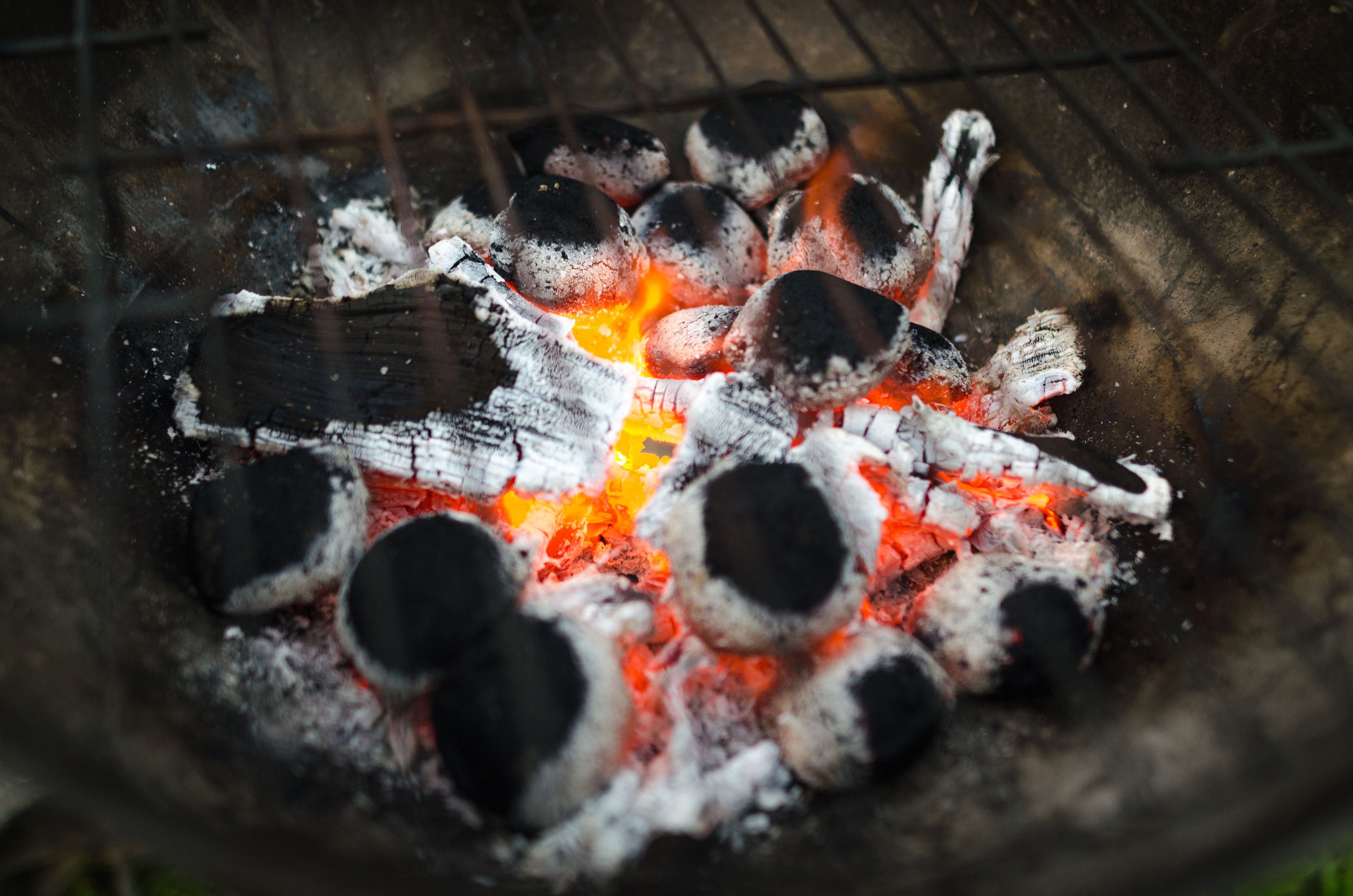 COMBUSTIBLES