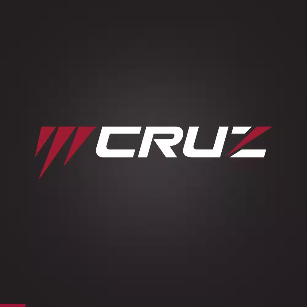 Murray Cruz 42-Inch 19.0 HP Briggs & Stratton EX1900 Dual Hydrostatic Drive Gas Zero Turn Mower
